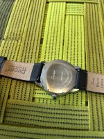 IMG_8447.jpeg
