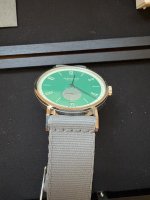 IMG_5231.jpeg