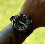 IMG_6918.jpeg
