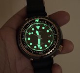 IMG_6926.jpeg
