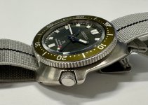IMG_7704.jpeg