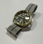 IMG_7702.jpeg