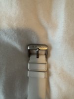 IMG_3502.jpeg