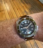 IMG_7934.jpeg