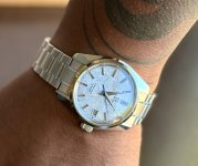 IMG_0952.jpeg