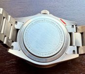 IMG_2434.jpeg
