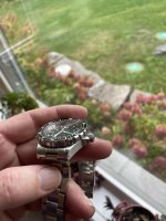 IMG_5330.jpeg