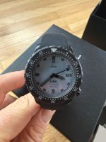 IMG_1695.jpeg