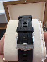 IMG_1151.jpeg