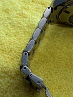 IMG_2383.jpeg