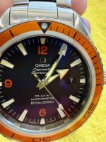 IMG_2399.jpeg