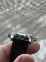 IMG_7384.jpeg