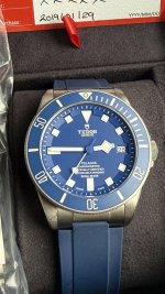 IMG_4100.jpeg