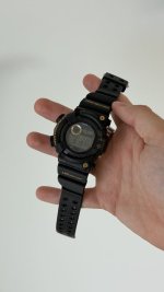 IMG_1186.jpeg