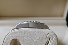DSCF7176.jpg