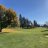 Golfking